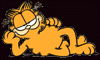 a13.gif (4966 bytes)
